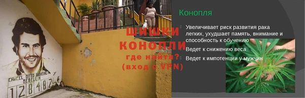 бутират Богданович